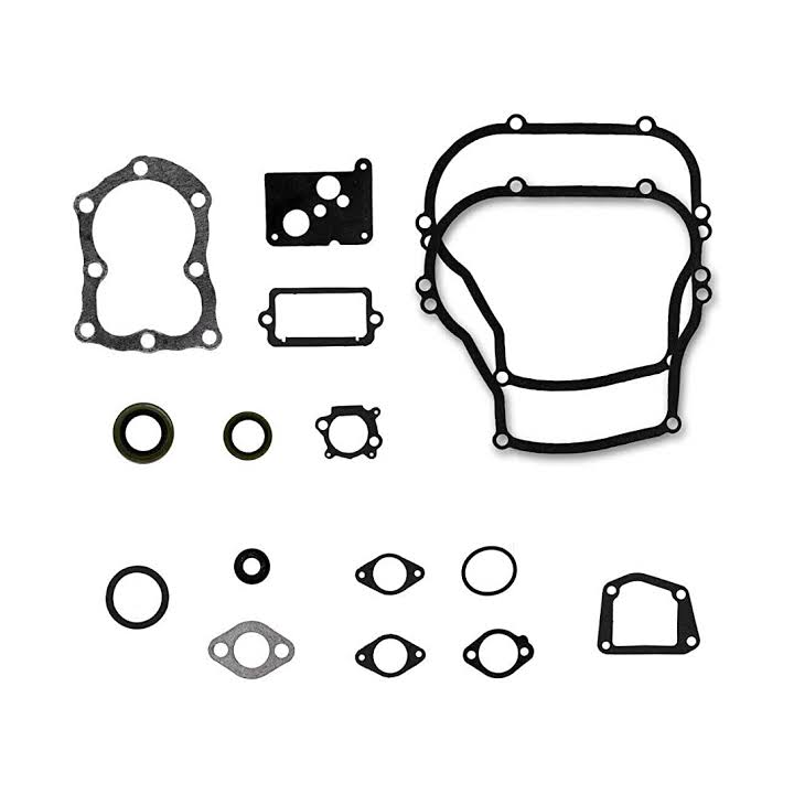 Juntas Para B&s 6-7hp 14pzas (295970) 16juntas011sm