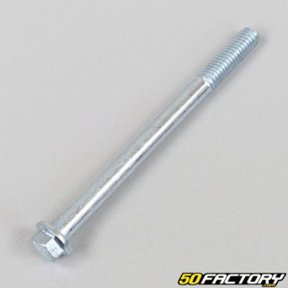 Tornillo  Milimetrico 6x75