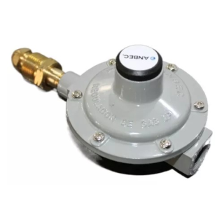 Regulador Para Gas 1 Via Con Punta Pool Foset Rg-100